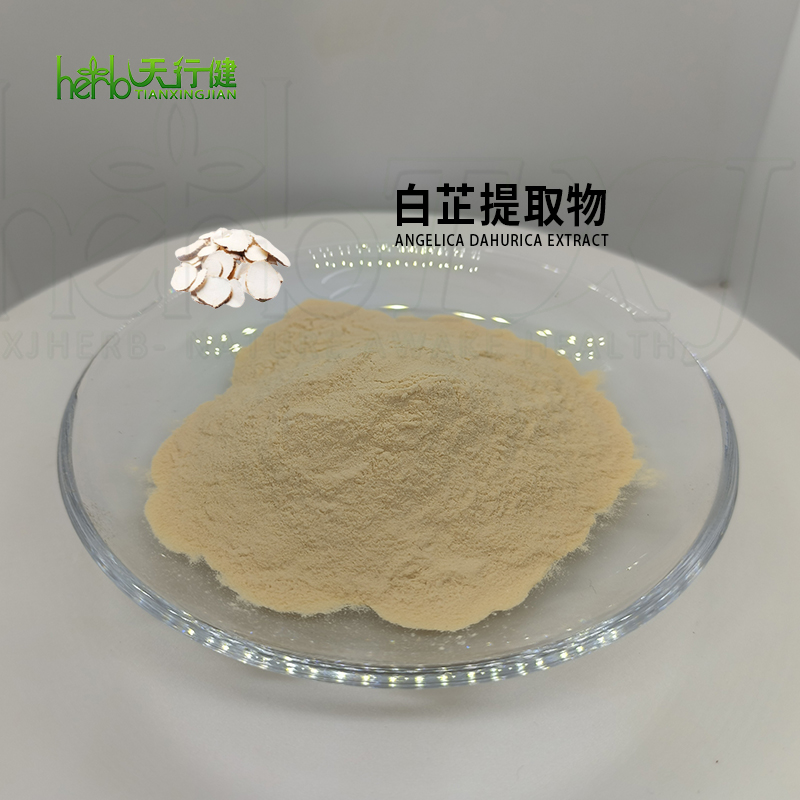 白芷提取物