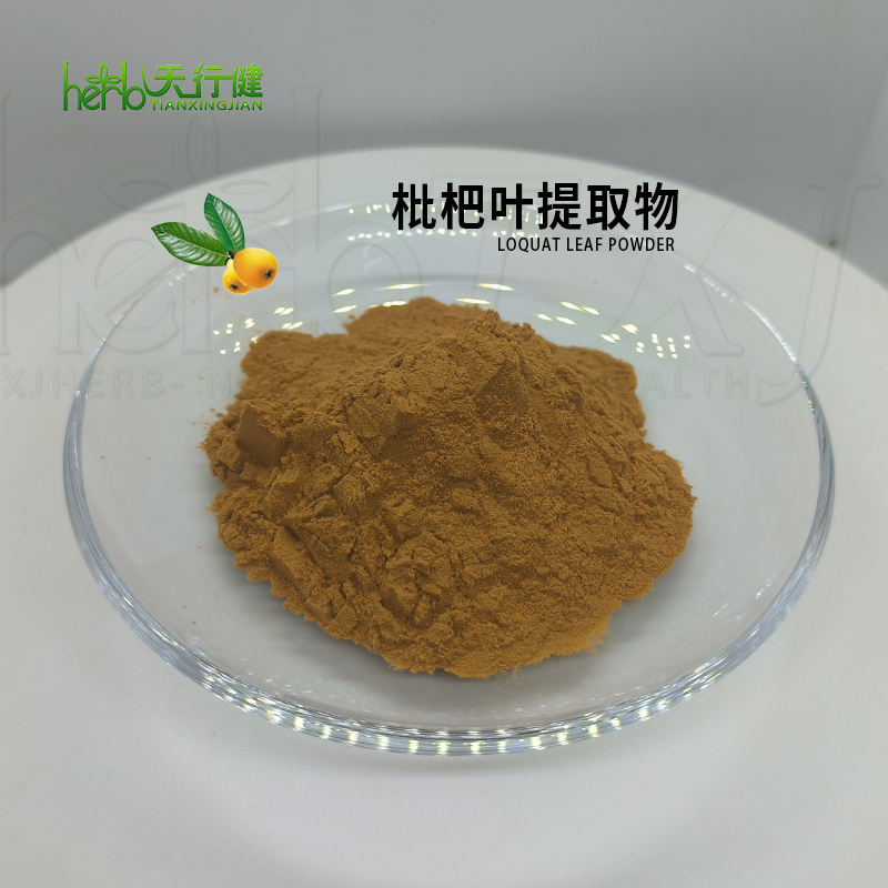 枇杷叶提取物