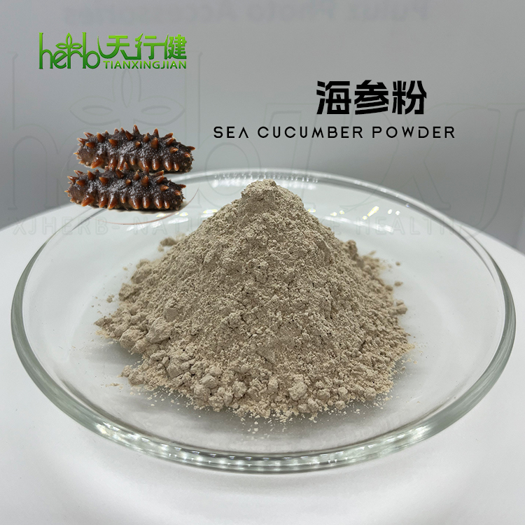 海参提取物