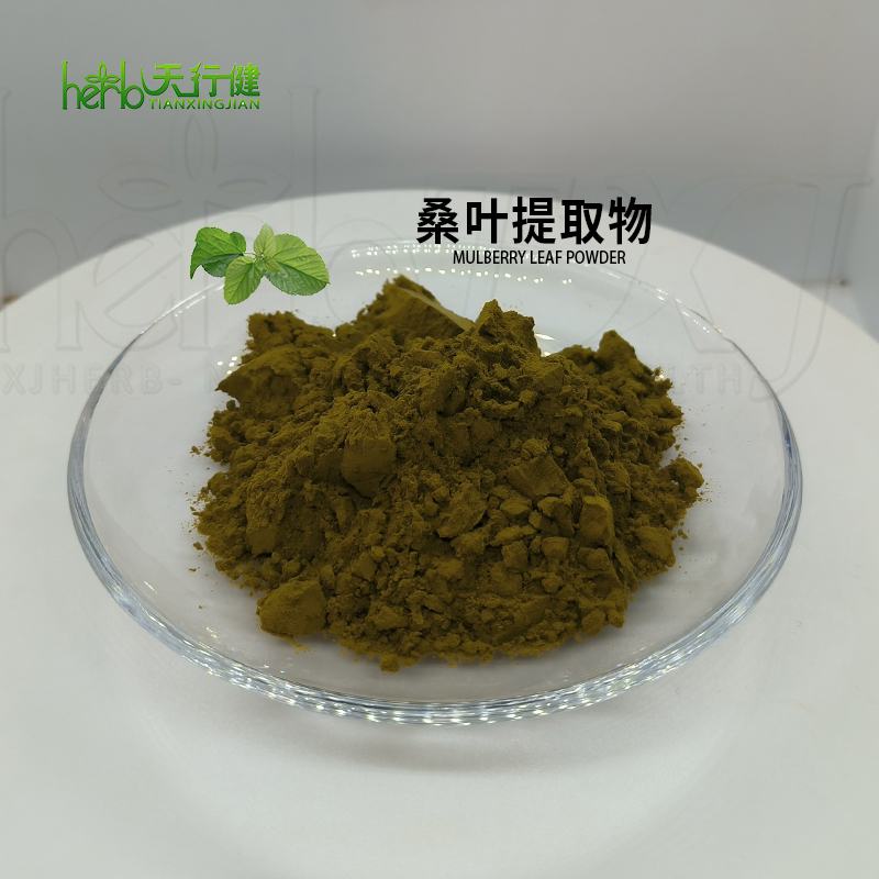 桑叶提取物